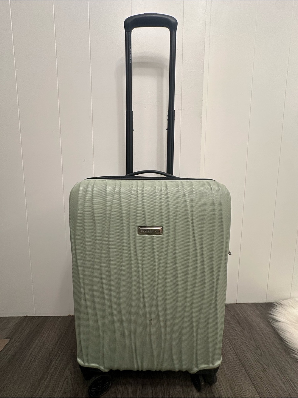 BCBGMaxAzria Mint Green Textured Hardside Carry-On